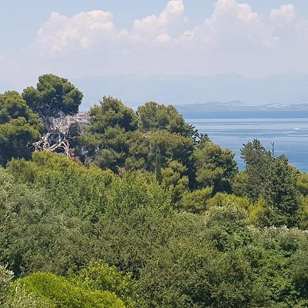Apartamento Mon Repos Panorama Corfu  Exterior foto